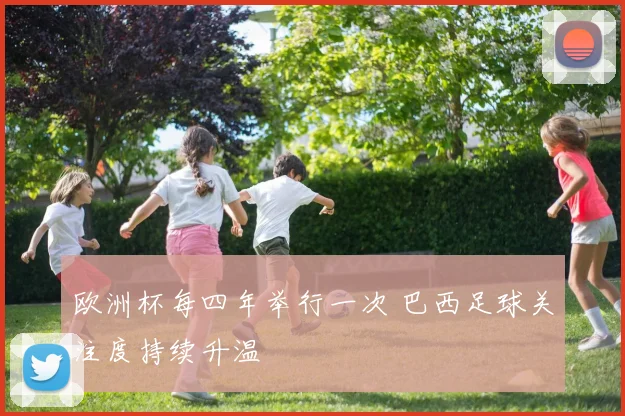 欧洲杯每四年举行一次 巴西足球关注度持续升温
