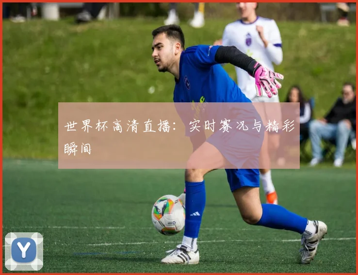 世界杯高清直播：实时赛况与精彩瞬间