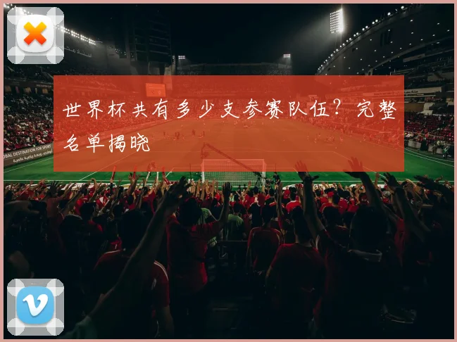 世界杯共有多少支参赛队伍?完整名单揭晓