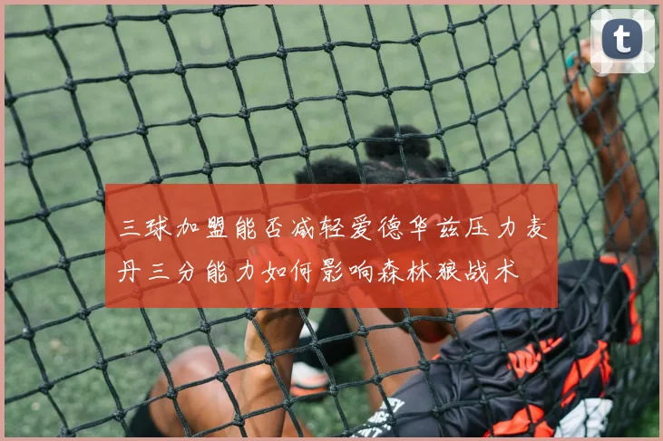 三球加盟能否减轻爱德华兹压力麦丹三分能力如何影响森林狼战术