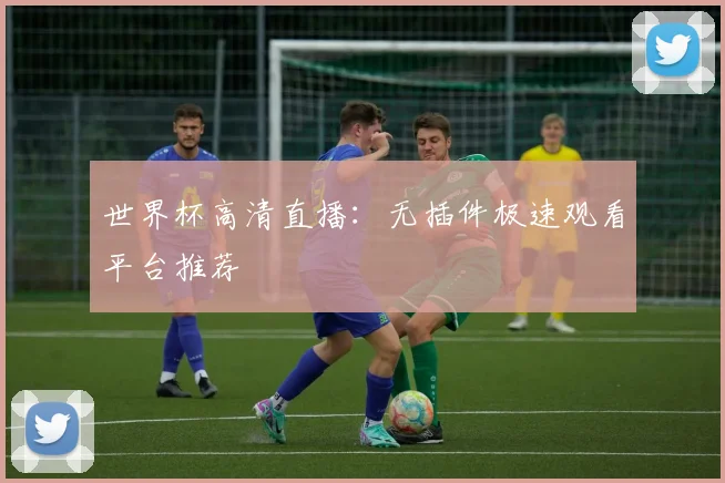 世界杯高清直播：无插件极速观看平台推荐