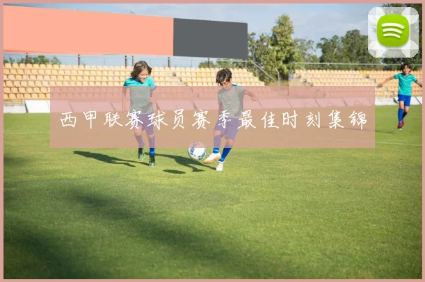 西甲联赛球员赛季最佳时刻集锦