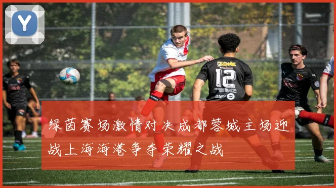 绿茵赛场激情对决成都蓉城主场迎战上海海港争夺荣耀之战
