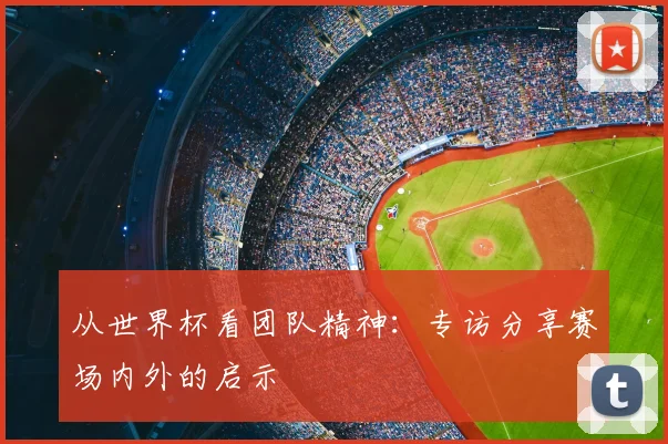 从世界杯看团队精神：专访分享赛场内外的启示