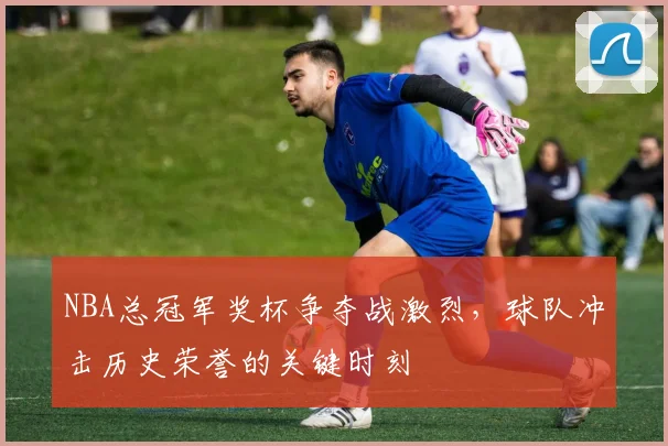 NBA总冠军奖杯争夺战激烈，球队冲击历史荣誉的关键时刻