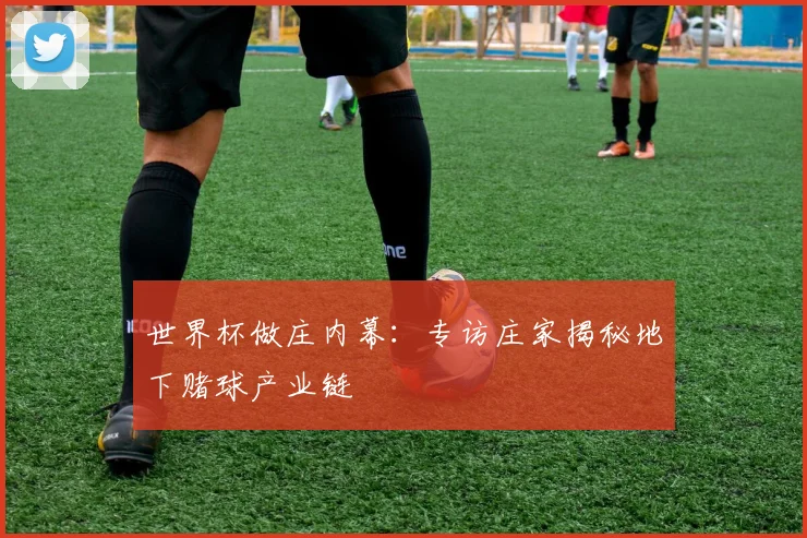 世界杯做庄内幕：专访庄家揭秘地下赌球产业链