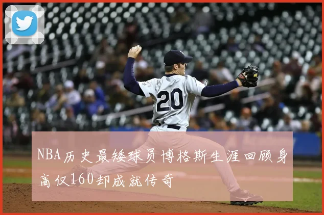 NBA历史最矮球员博格斯生涯回顾身高仅160却成就传奇