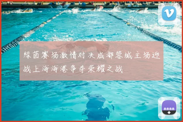 绿茵赛场激情对决成都蓉城主场迎战上海海港争夺荣耀之战