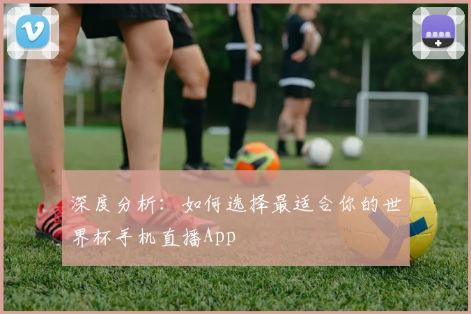深度分析：如何选择最适合你的世界杯手机直播App