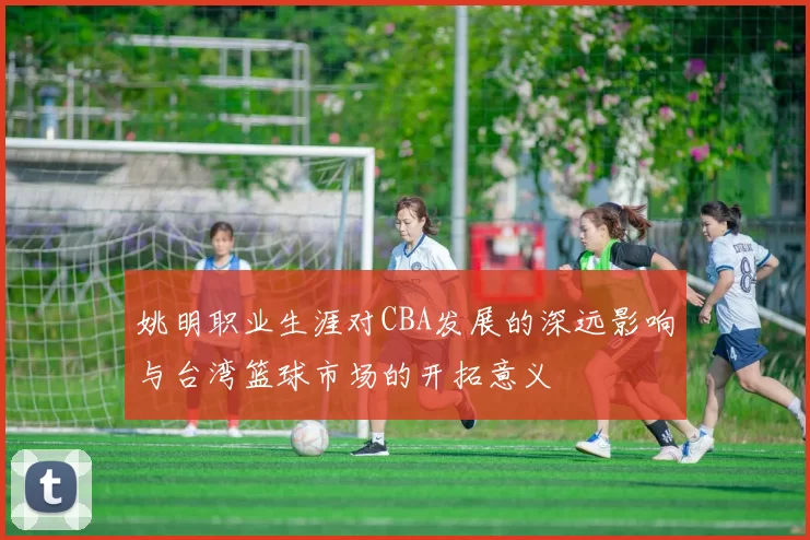 姚明职业生涯对CBA发展的深远影响与台湾篮球市场的开拓意义