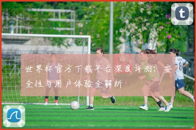 世界杯官方下载平台深度评测:安全性与用户体验全解析
