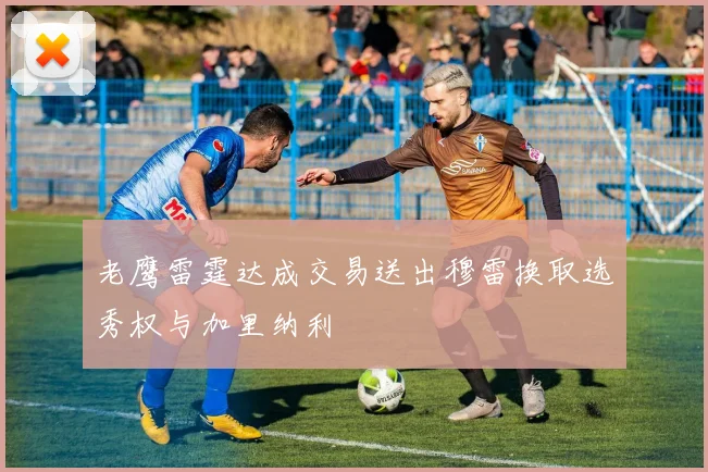 老鹰雷霆达成交易送出穆雷换取选秀权与加里纳利