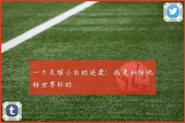 一个足球小白的逆袭:我是如何玩转世界杯的