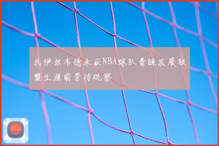 扎伊尔韦德未获NBA球队青睐发展联盟生涯前景待观察