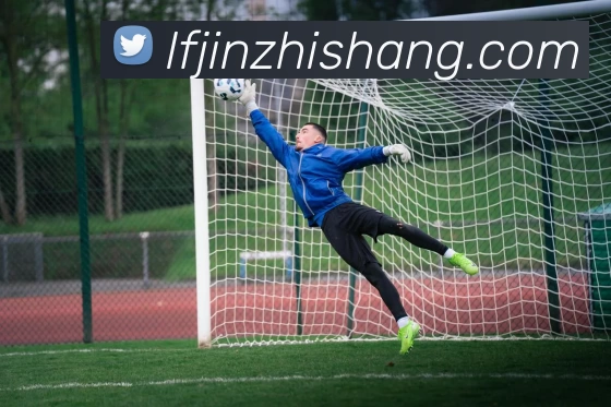 爱游戏官网服务体系